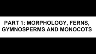 Common Plant Families of Michigan: Part 1 Morphology, Ferns, Gymnosperms and Monocots