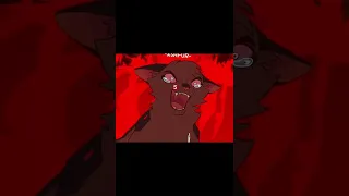 Warrior cats and there k!ll count // Credit in desc 