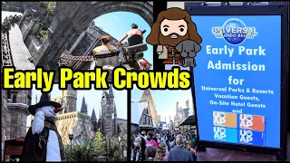 Early Park Admission Riding Hagrid's Motorbike Adventure & Forbidden Journey | Crowds & Wait Times