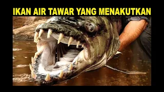 ikan monster di sungai kongo