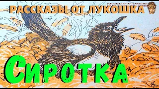 Сиротка — Рассказ | Георгий Скребицкий | Аудио рассказ | Рассказы для детей