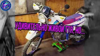 Лучший TTR 250 RAID С АУКЦИОНА,что мы делали. НО ВСЕ РАВНО НУЖНО ОБСЛУЖИВАТЬ!И МНОГО ОБСЛУЖИВАТЬ!!!