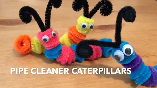 Pipe Cleaner Caterpillar Craft