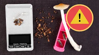 Microdosing Psilocybin: 6 Common Issues and Why They Happen