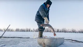 Life of a fisherman in the Far North.Winter fishing.The pike fishing 2021. Azovy is quiet here