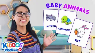 Let’s Learn The Baby Animals Names | Teaching Fun Facts About Baby Animals for Children