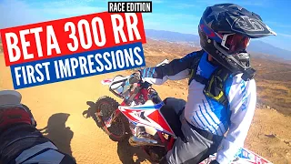 Beta 300 RR — Test Ride & First Impressions (Race Edition)