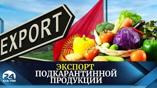 В Кыргызстане увеличился экспорт сельхозпродукции