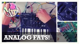 Fat Analog Sounds: MicroBrute & LushOne Synthesizer #TTNM