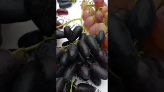 Прекрасные новые сорта и гибридные формы винограда