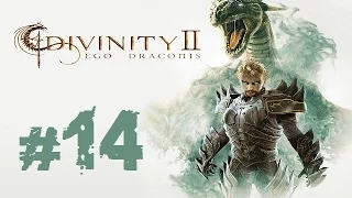 Прохождение Divinity II: Ego Draconis - Часть 14 (Евгений)