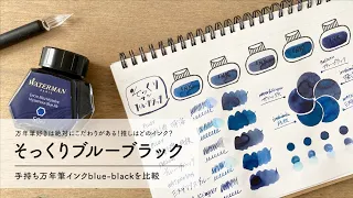 インク好きがこだわる！ブルーブラック【インク比較】