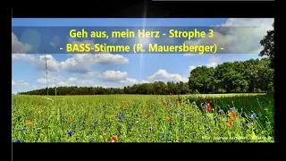 Bass Lernvideo - Geh aus, mein Herz, Str. 3 (Mauersberger)