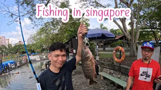 Pasir ris pond fishing Singapore (4k)