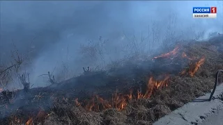 За минувшие двое суток пожарные выезжали тушить палы травы более двадцати раз. 31.03.2017