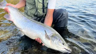 Et Lakse Eventyr i Nord-Norge - LAKSELVA // PART 1 // A Salmon Adventure in Northern Norway