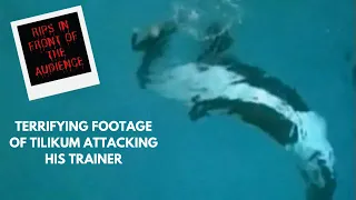 The Life of Tilikum the Whale | A Short Documentary