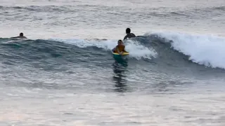 Bodyboard honls