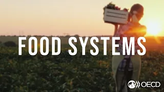 Making Better Policies for Food Systems