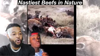 Animals that Have BEEF | Hood Nature