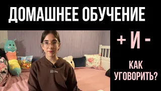 Всё про домашнее обучение | плюсы и минусы | как уговорить родителей |Фоксфорд