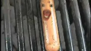 Hotdog and hamburger on a grill: Funny!
