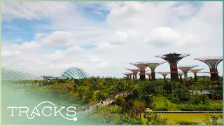 Singapore's Garden of the Future | Boomtown Asia | TRACKS