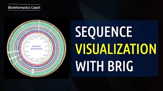 Whole Genome Sequence Analysis Visualization of Bacterial Genomes (BRIG Software) |