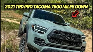 2021 TRD PRO TOYOTA TACOMA 7500 MILES DEEP