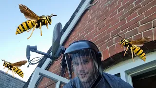 How Not To Destroy A Wasp Nest Using A Foam Jet Spray?