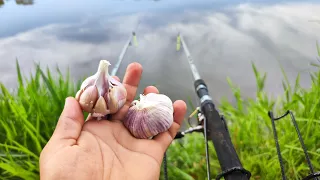 🔥Fui TESTAR o ALHO na PESCARIA SELVAGEM na LAGOA PROIBIDA