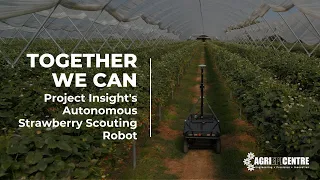 Revolutionizing Agriculture with AI: Project Insight's Autonomous Strawberry Scouting Robot