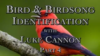 Bird & Birdsong Identification with Luke Cannon Part 4