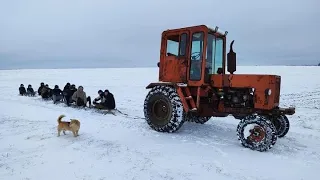 Будова заморожена🥶Трактор не потягнув 10 санок🙆Катаю дітвору на санках 😄МАЛДАВАН ЗВІР.