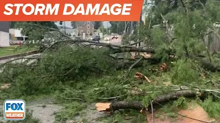 Severe Storm Brings Power Lines, Trees In Glen Arm, Maryland