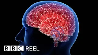 The simple brain training that can help you lose weight - BBC REEL