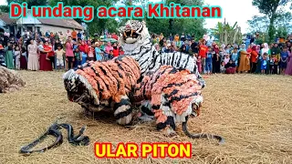 Can macanan singo Raung cilik di ajak show bos Al Azhar acara khitanan