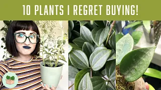 10 HOUSEPLANTS I REGRET BUYING! 🪴 Realistic Plant Care