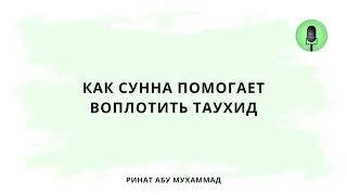 1566. Как Сунна помогает воплотить таухид || Ринат Абу Мухаммад