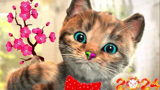 SPECIAL LITTLE KITTEN ADVENTURE LONG VIDEO - LEARNING CARTOON GAME FOR CHILDREN