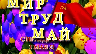 С ПРАЗДНИКОМ  1 МАЯ !!!