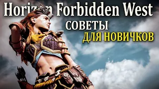 Horizon Forbidden West советы для новичков ( хорайзон форбидден вест гайд и советы )