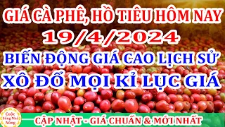 Giá cà phê hôm nay ngày 19/4/2024 | giá cà phê LÊN ĐỈNH CAO NHẤT MỌI THỜI ĐẠI