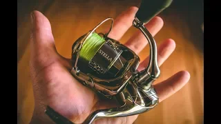 Shimano Stella 1000 Challenge