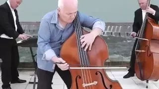 Bach Badinerie by Double Bass Player