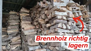 Brennholz richtig lagern - Darauf solltest du achten! Vermeide diese FEHLER beim Feuerholz trocknen!