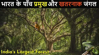 भारत के 5 सबसे बड़े और खतरनाक जंगल | India's Largest Forest | India's Wild Life | In Hindi