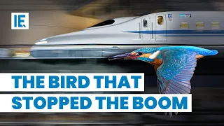 How Kingfisher Inspired Bullet Trains