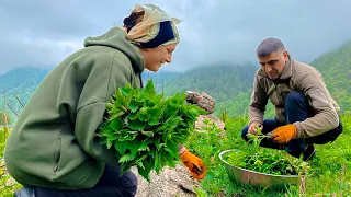 Mountain Nettles Leaves Harvesting and Cooking a Simple Dish Out of Them!🌿Faraway Village Life