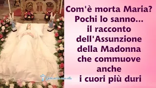 Com'è morta Maria? Pochi lo sanno...il racconto dell'Assunzione della Madonna che ha commosso tutti